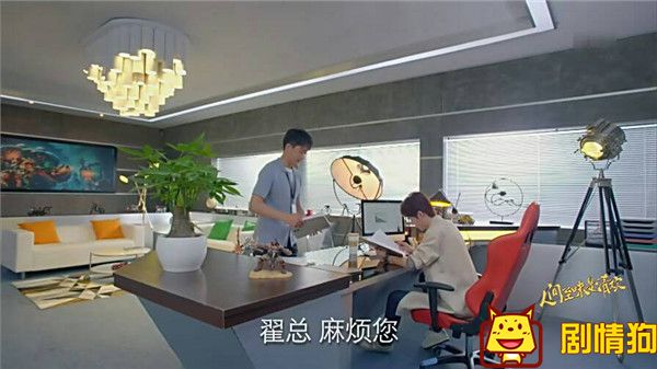 人间至味是清欢中翟至味办公室的盆栽是什么植物？好养吗？