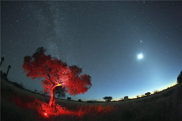 花儿与少年3纳米比亚的星空是真的吗？非洲的夜空是假的吗？