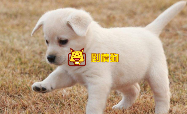 光良新歌是不是还少了什么歌词 光良新歌是不是还少了什么歌词