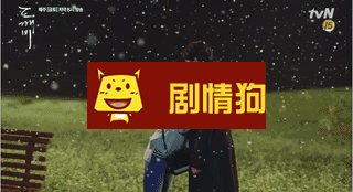 当你沉睡时有哪几个韩剧沿用10年的梗 豆瓣评分为什么高达9.1